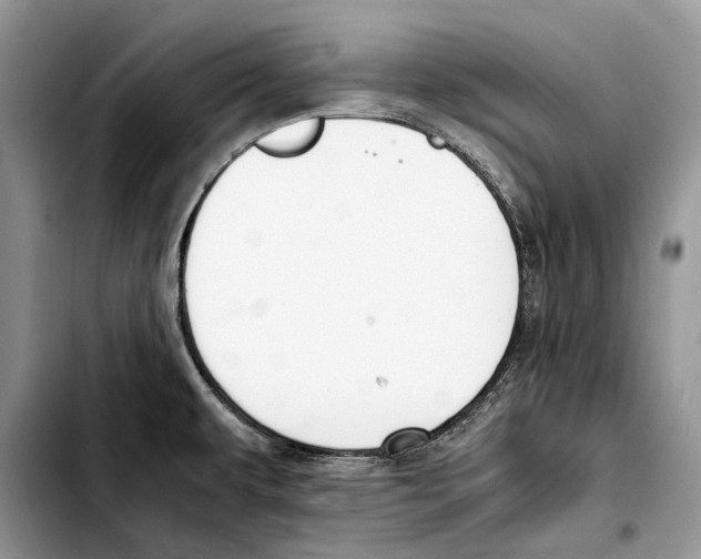 X0000103431479200810101031