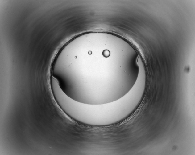 X0000103431480200810101031