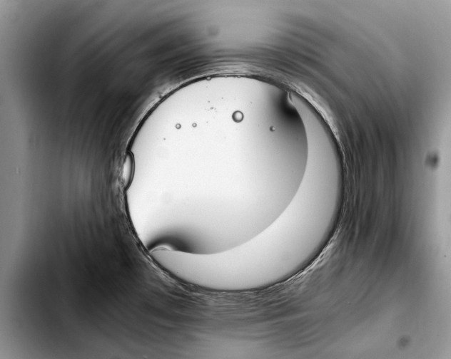X0000103431481200810101031
