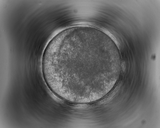 X0000103431482200810101031