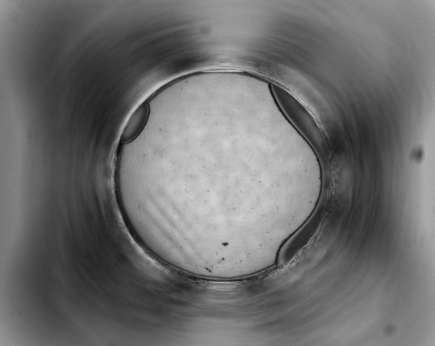 X0000103431484200810101031