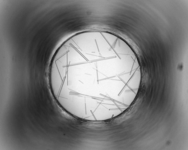 X0000103431486200810101031