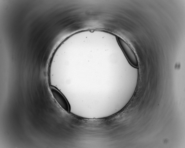 X0000103431488200810101030