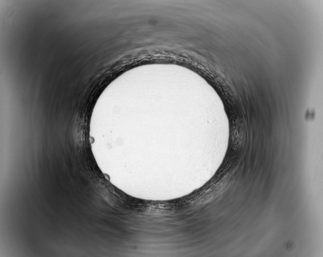 X0000103431490200810101030