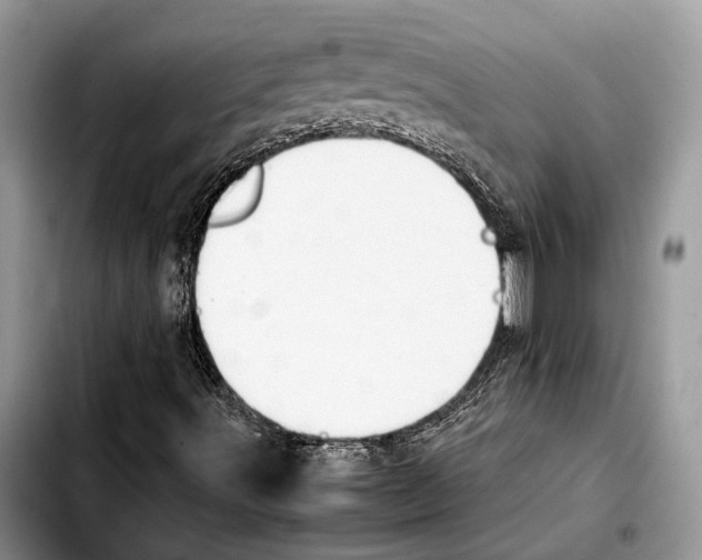 X0000103431491200810101030
