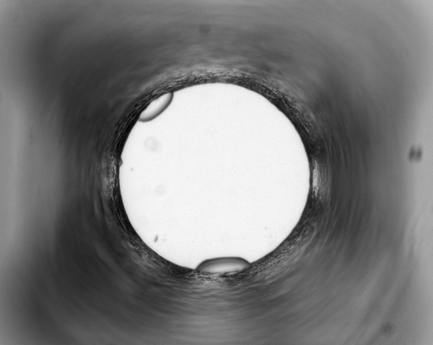 X0000103431492200810101030