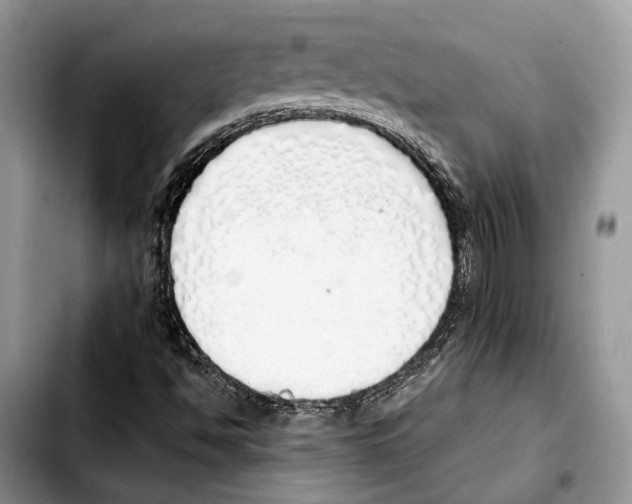 X0000103431494200810101030