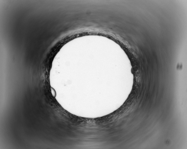 X0000103431495200810101030