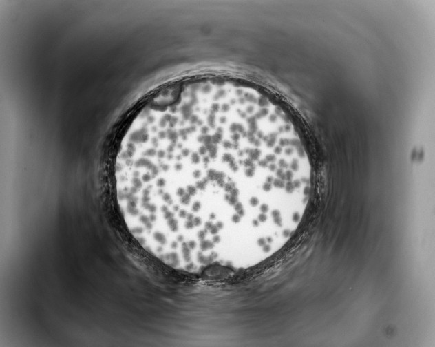 X0000103431496200810101030
