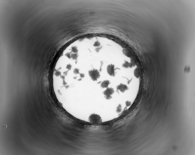 X0000103431497200810101030