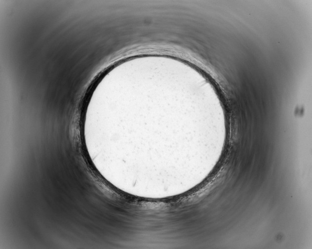 X0000103431498200810101030