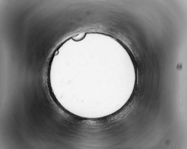 X0000103431500200810101030