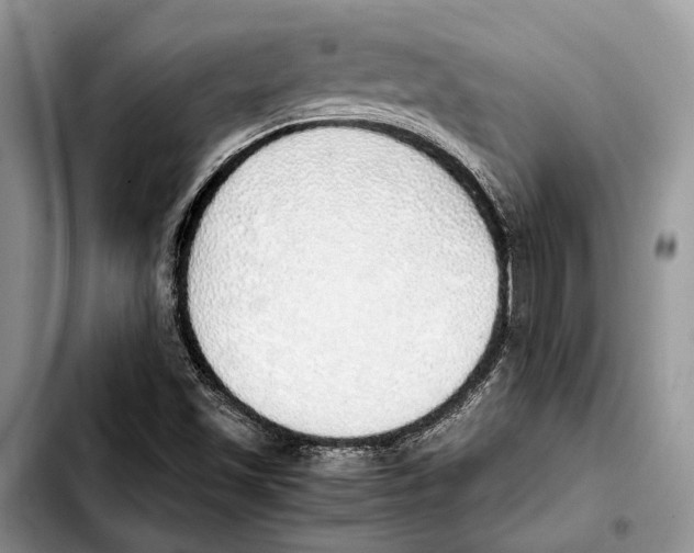X0000103431501200810101030