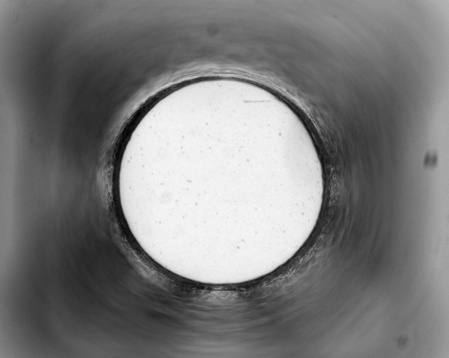 X0000103431503200810101030