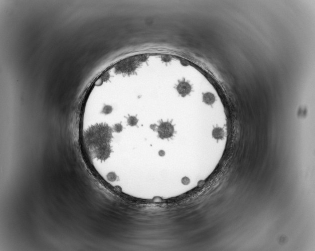 X0000103431504200810101030