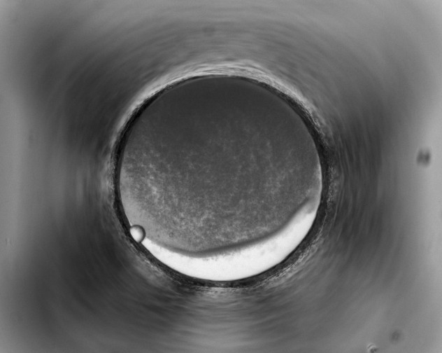 X0000103431506200810101030