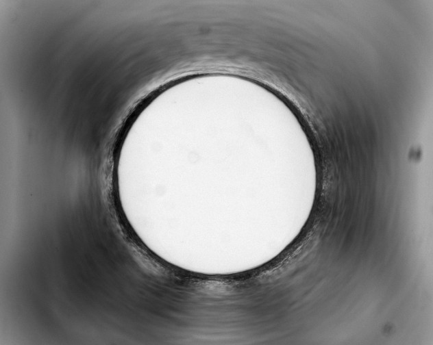 X0000103431507200810101030