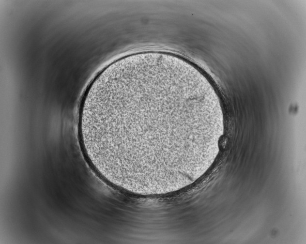 X0000103431508200810101030