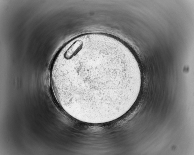 X0000103431509200810101030
