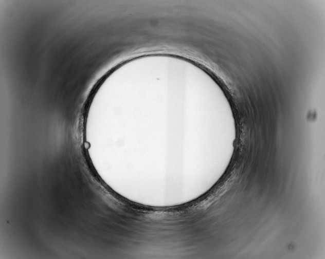 X0000103431510200810101030