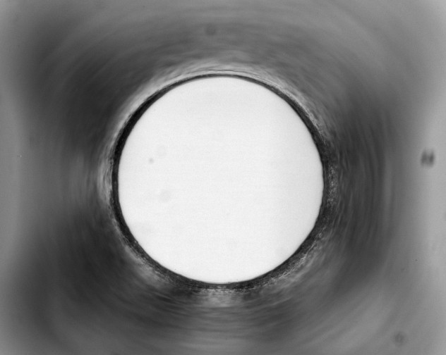 X0000103431511200810101030