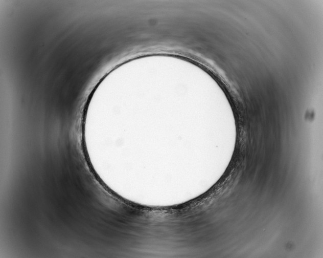 X0000103431512200810101030