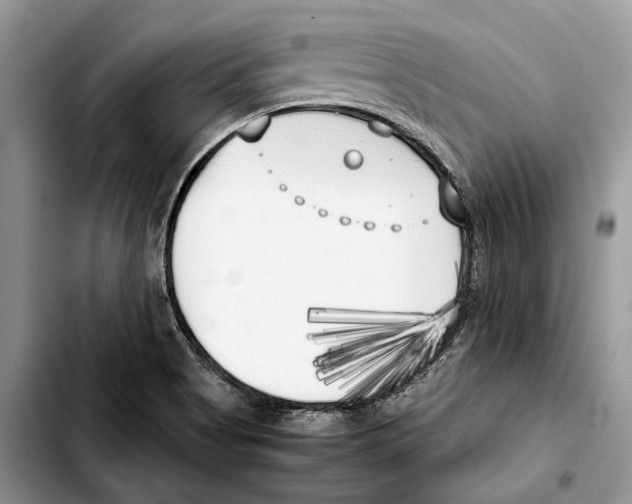 X0000103431513200810101030