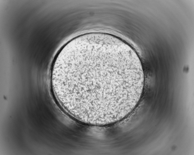 X0000103431514200810101030