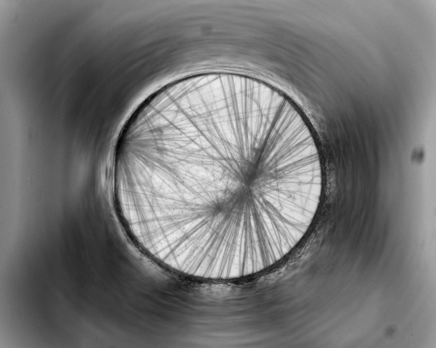X0000103431515200810101030