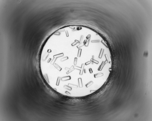 X0000103431517200810101030