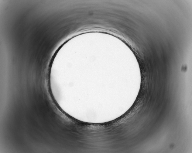 X0000103431518200810101030