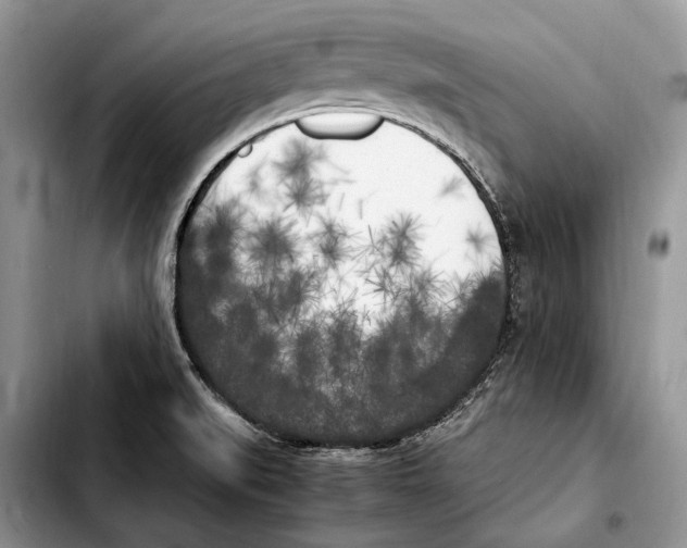 X0000103431519200810101030