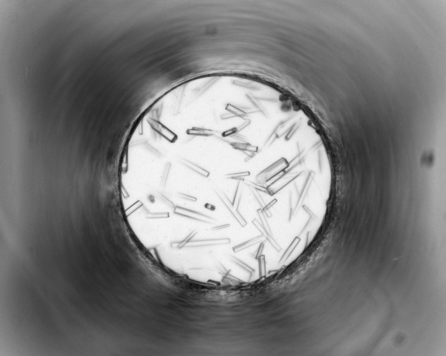 X0000103431521200810101030