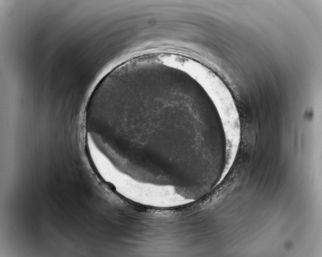 X0000103431522200810101030