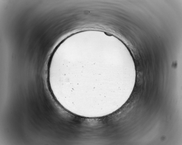 X0000103431523200810101030