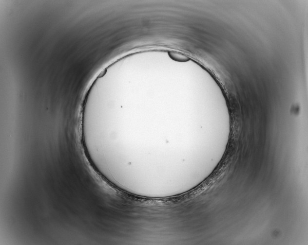 X0000103431524200810101030