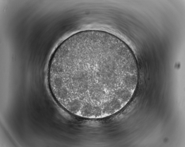 X0000103431525200810101030