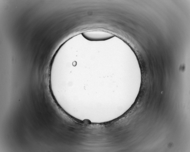 X0000103431526200810101030