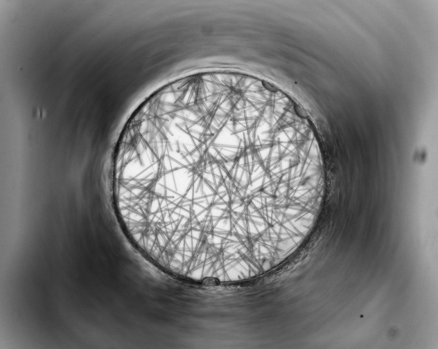X0000103431527200810101030
