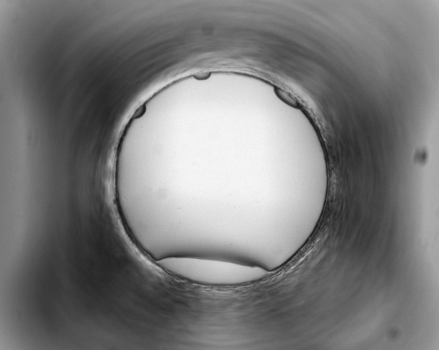 X0000103431528200810101030
