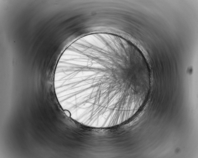 X0000103431529200810101030