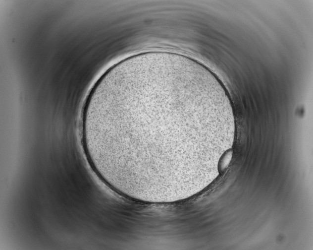 X0000103431531200810101030