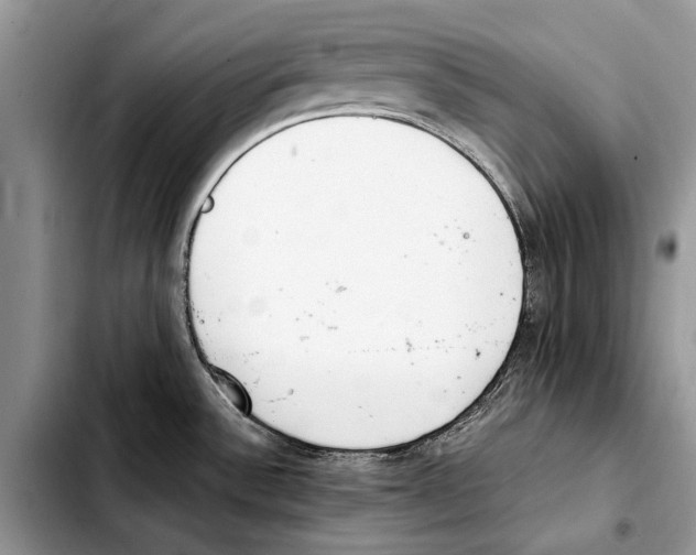 X0000103431532200810101030