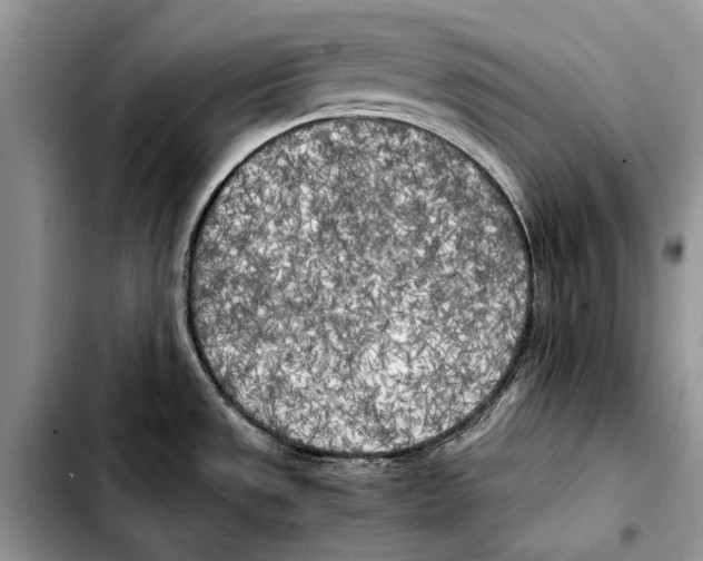 X0000103431533200810101030