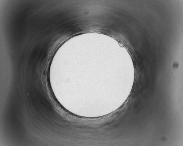 X0000103430001200810241109
