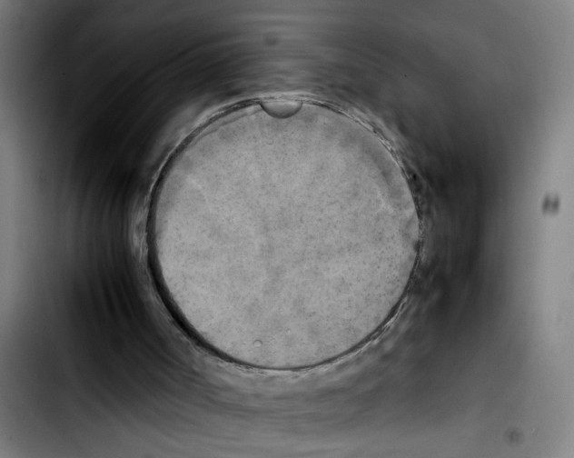 X0000103430002200810241109