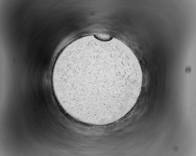 X0000103430004200810241109