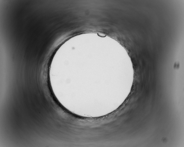 X0000103430005200810241109