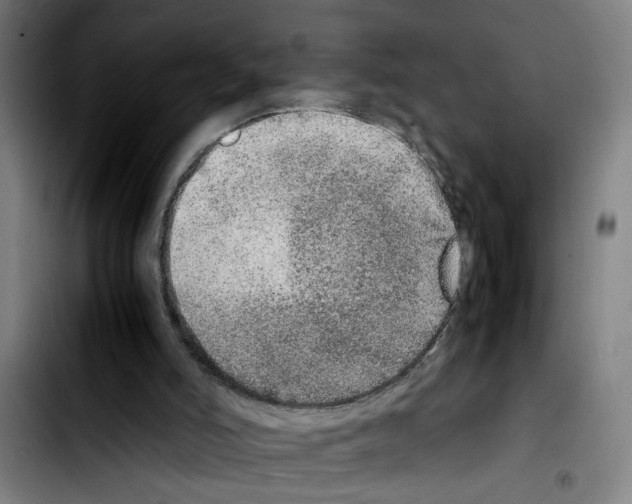 X0000103430006200810241109