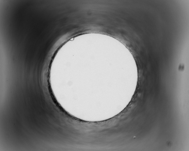 X0000103430007200810241109